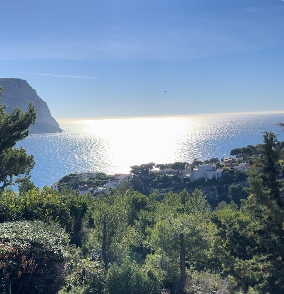 House - Cassis