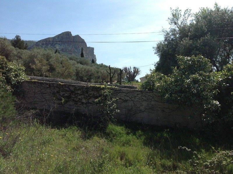 pavillon cassis jardin