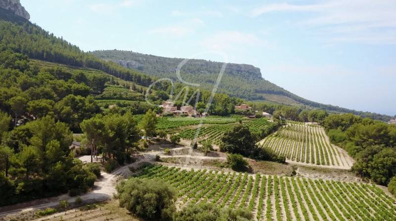 Vente bastide T7 cassis campagne