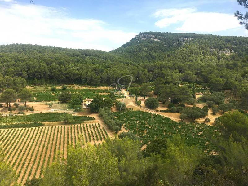 Vente terrain cassis  campagne